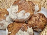 Frühlingsmarkt in Fraubrunnen 2024!