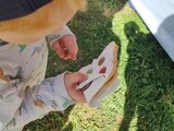 Frühlingsmarkt 2026 in Fraubrunnen!