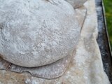 Frühlingsmarkt in Fraubrunnen 2024!