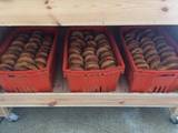 Mehl für Bäckerei in Moldawien!
