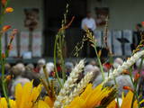 Gottesdienst in der Mühle Fraubrunnen!