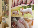 Agrimesse 2018!