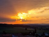Mitarbeiter/innen- und Partnerinnen-Event