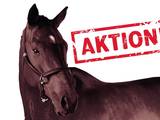 Aktion Pferdefutter!
