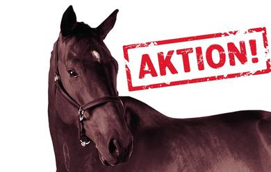 Aktion Pferdefutter!