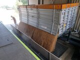 Brotgetreide- und UrDinkelernte in vollem Gang!