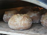 Feinbäckerei Steffen in Aarberg!