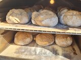 Frühlingsmarkt 2026 in Fraubrunnen!