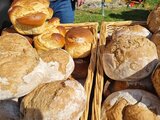 Frühlingsmarkt 2026 in Fraubrunnen!