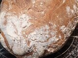 Providebit-Sauerteig-Test