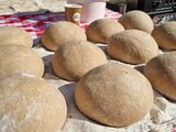 Frühlingsmarkt 2026 in Fraubrunnen!