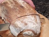 Providebit-Sauerteig-Test