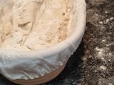 Providebit-Sauerteig-Test