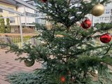 Weihnachtsmärit Seelandheim 2025!