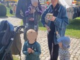 Frühlingsmarkt 2025 in Fraubrunnen!