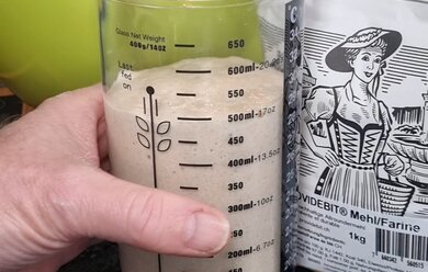 Providebit-Sauerteig-Test