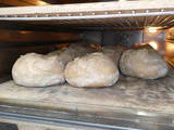 Feinbäckerei Steffen in Aarberg!