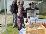 Frühlingsmarkt in Fraubrunnen 2024!
