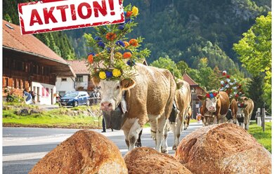 Chüjermehl... echte Tradition!