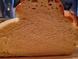 Grosse Zopfdegustation!