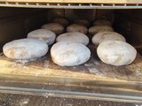 Frühlingsmarkt 2025 in Fraubrunnen!