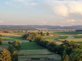 Mitarbeiter-Silo-Apéro inkl. Partner/innen!
