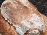 Providebit-Sauerteig-Test